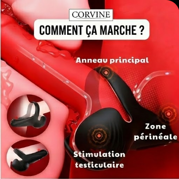 Pack CORVINE PRO MAX